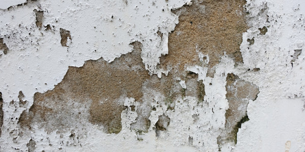 Pintar Fachadas de Empresas / Negocios / Locales Comerciales en Terrassa · Pintura Antihumedad / Antimoho para Humedades / Moho