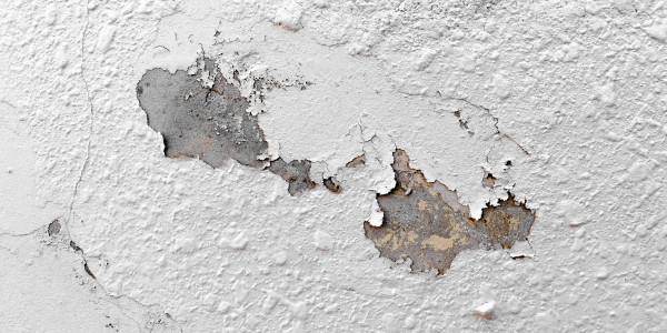 Pintar Fachadas de Naves Industriales, Fábricas y Almacenes en Terrassa · Pintura Antihumedad / Antimoho para Humedades / Moho